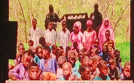 Borno commissioner shares 15-second video of kidnapped students at summit
