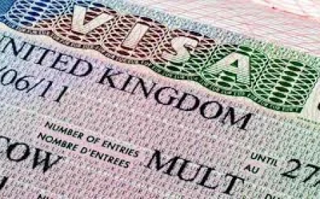49,498 Nigerian workers got UK work visas in five years — Report