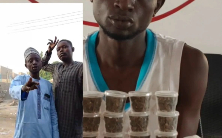 Sowore slams seven-year jail term for man advertising cannabis online