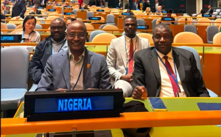 FRSC boss seeks stronger global road safety ties at UN meeting