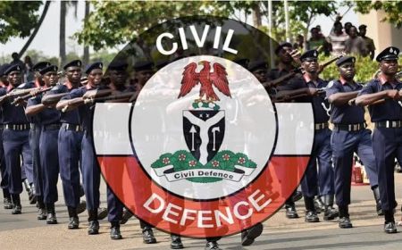 NSCDC secures life imprisonment for sexual offender in Kwara