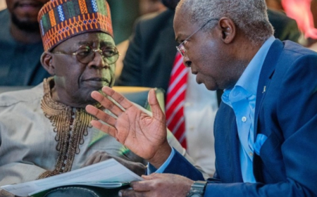 Why I won’t advise Tinubu on television — Fashola