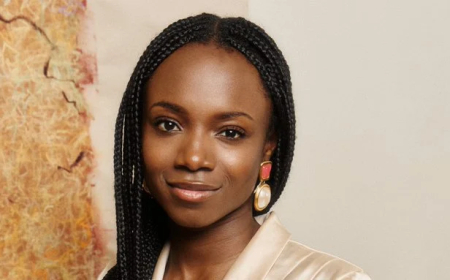 Nigerian-American Harvard graduate develops world’s first braid-assist robot