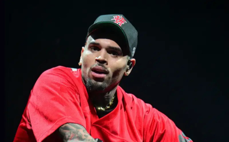 Chris Brown pleads guilty to public order offence in UK