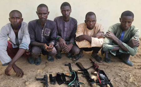 Troops nab 5 suspected kidnappers in Yobe