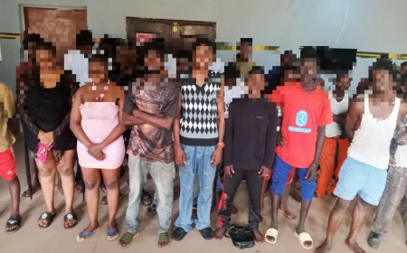 Police arrest 81, recover illicit drugs in Delta