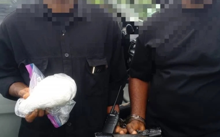 Police arrest two suspects with guns, cocaine in Delta