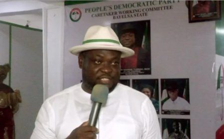 Bayelsa PDP approves N20m palace project in Jonathan’s hometown