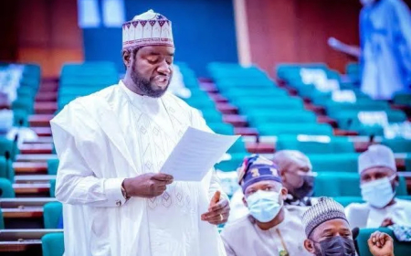 Reps order IG to produce ‘fake, agency DG Adeyemi within 48 hours