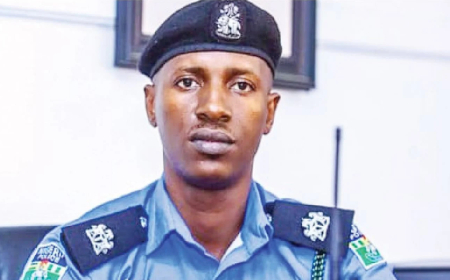 Police bust theft syndicate, recover nine stolen Android phones in Delta