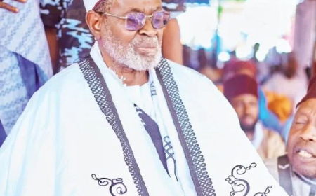 Military operations alone won’t solve insecurity – Yobe Emir