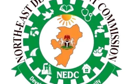 NEDC okays N100bn solar power project for North-East