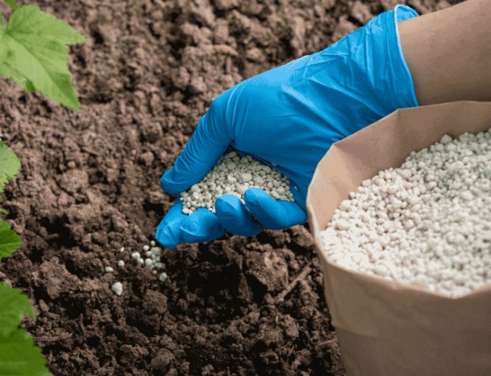 FG Reaffirms Commitment To Food Security During Inspection Of Local Fertiliser Facilities