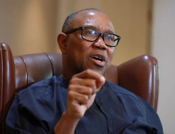 Tambuwal, Saraki celebrate Peter Obi at 65
