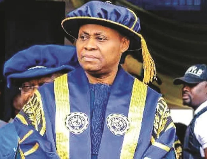 INEC chair not to blame for rigging — Deji Adeleke