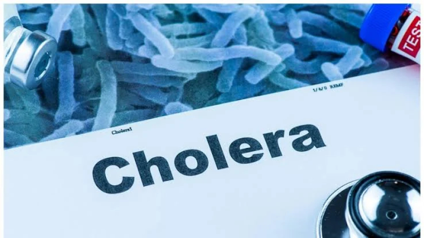 Cholera kills 120 in Sudan – WHO