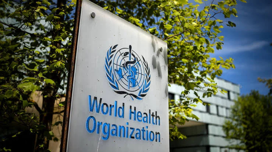 WHO launches first global database to track STIs