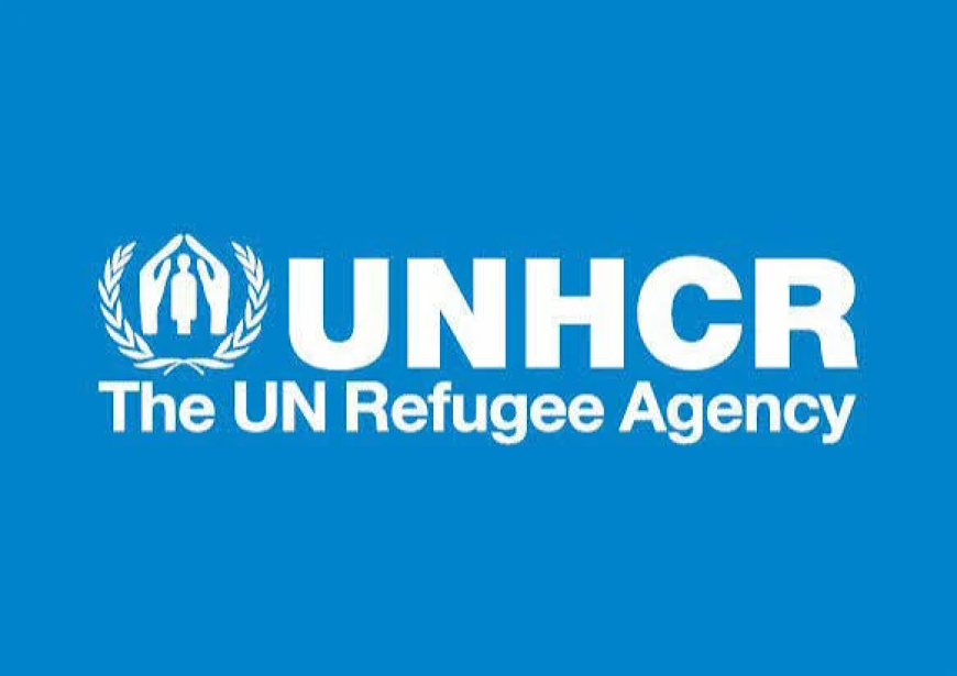 Lake Chad crisis nears dangerous tipping point, UNHCR warns