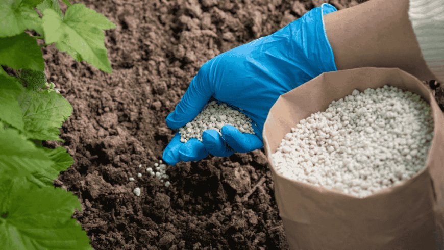 FG Reaffirms Commitment To Food Security During Inspection Of Local Fertiliser Facilities
