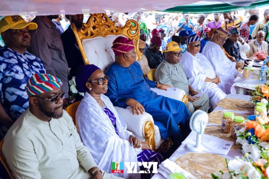 YAYI Flags Off Restoration of Electricity to Ogun Waterside Communities, Assures Completion Before December