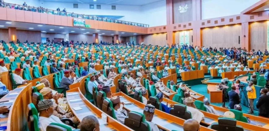 Reps in rowdy session over motion to summon Tinubu