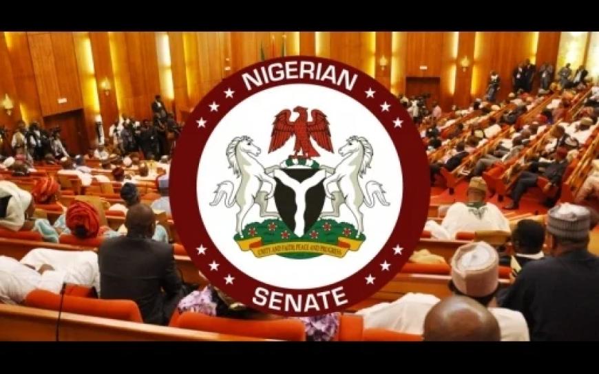 Senate backs bill proposing 15-year jail term for fake drug dealer