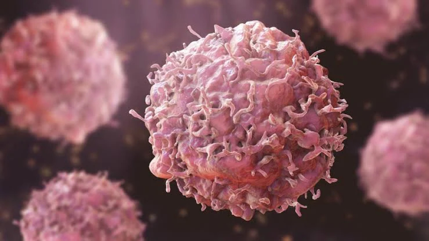 FG unveils plans to cut cancer treatment costs