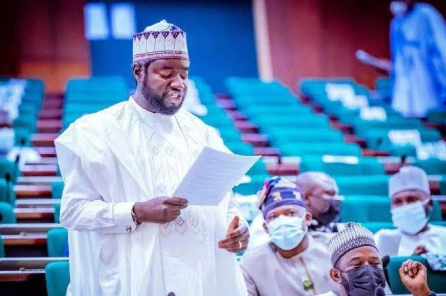 Reps order IG to produce ‘fake, agency DG Adeyemi within 48 hours