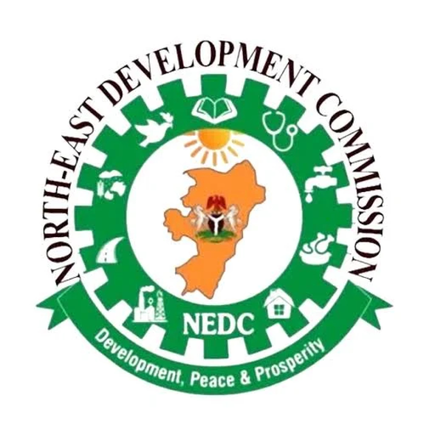 NEDC okays N100bn solar power project for North-East