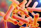 Diphtheria: 29 Katsina LGs affected, Kano confirms two deaths