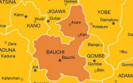 Bauchi woman killed, kids injured over alleged witchcraft