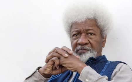 Soyinka to Tinubu: Probe unresolved assassinations as promised