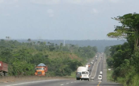 FG begins assessment of flood-affected sections on Benin-Sagamu Expressway