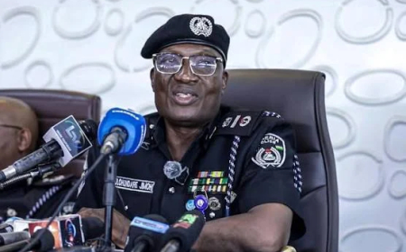 Police probe AIG over VeryDarkMan’s corruption allegations