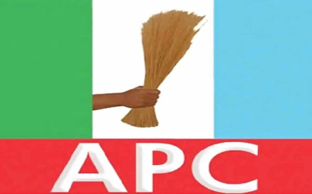 Ondo APC seeks elders’ support to resolve post-primary rancour