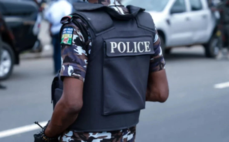 Police nab three over murder of two cops in Rivers