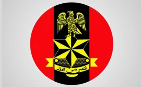 Military pressure forces 17 terrorist family members to surrender in Borno