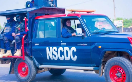NSCDC sanctions 79 personnel, arrests 12 suspects