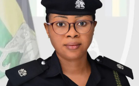 Police uncover bandits’ hideout, seize rifles, ammunition