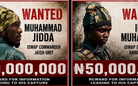 Army places bounty on wanted ISWAP leaders