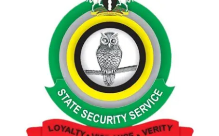 Court remands retired DSS officer over IPOB support, cybercrime