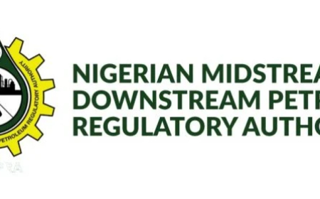 NMDPRA proposes new rules to ban fuel price-fixing, artificial scarcity