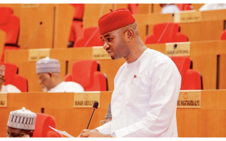 Only lazy Nigerians depend on markets for food — Lawmaker