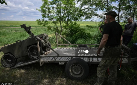 Ukraine pushes AI combat robots despite defence minister’s dismissal
