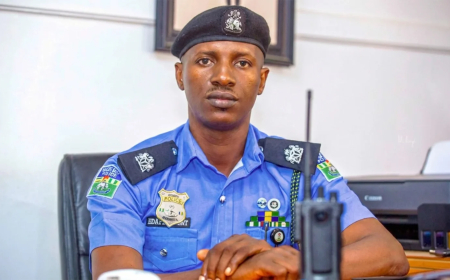 Police bust drug cartel in Delta, recover 21 bags of Indian hemp