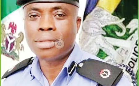 23 foreigners operating Ponzi scheme nabbed in Ogun