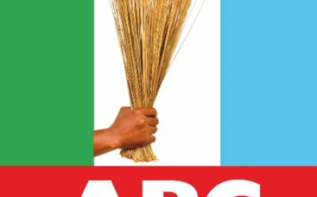APC youth wing pledges greater inclusion of young Nigerians