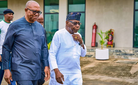 Obasanjo, Obi demand major shake-up of democratic institutions