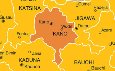 Teenager drowns in Kano pond