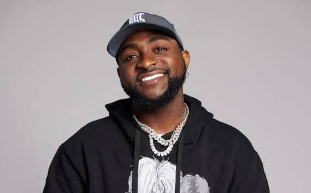 Why Davido should apologise to Okpebholo over WAEC result troll — Lawyer
